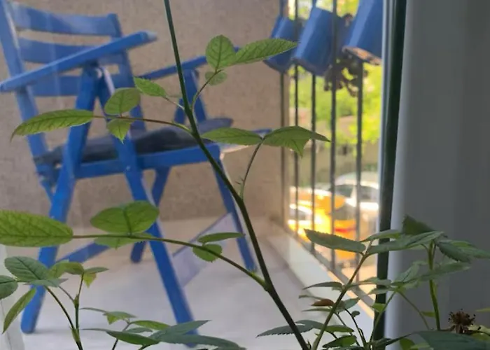 Blue Vibes 아파트 풀라