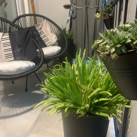 Apartment City Blue Vibes